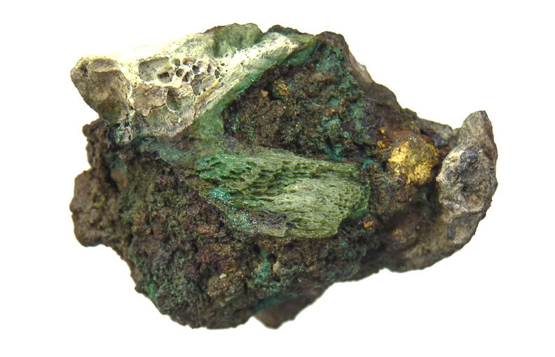 61 Impacto ambiental en fauna terrestre